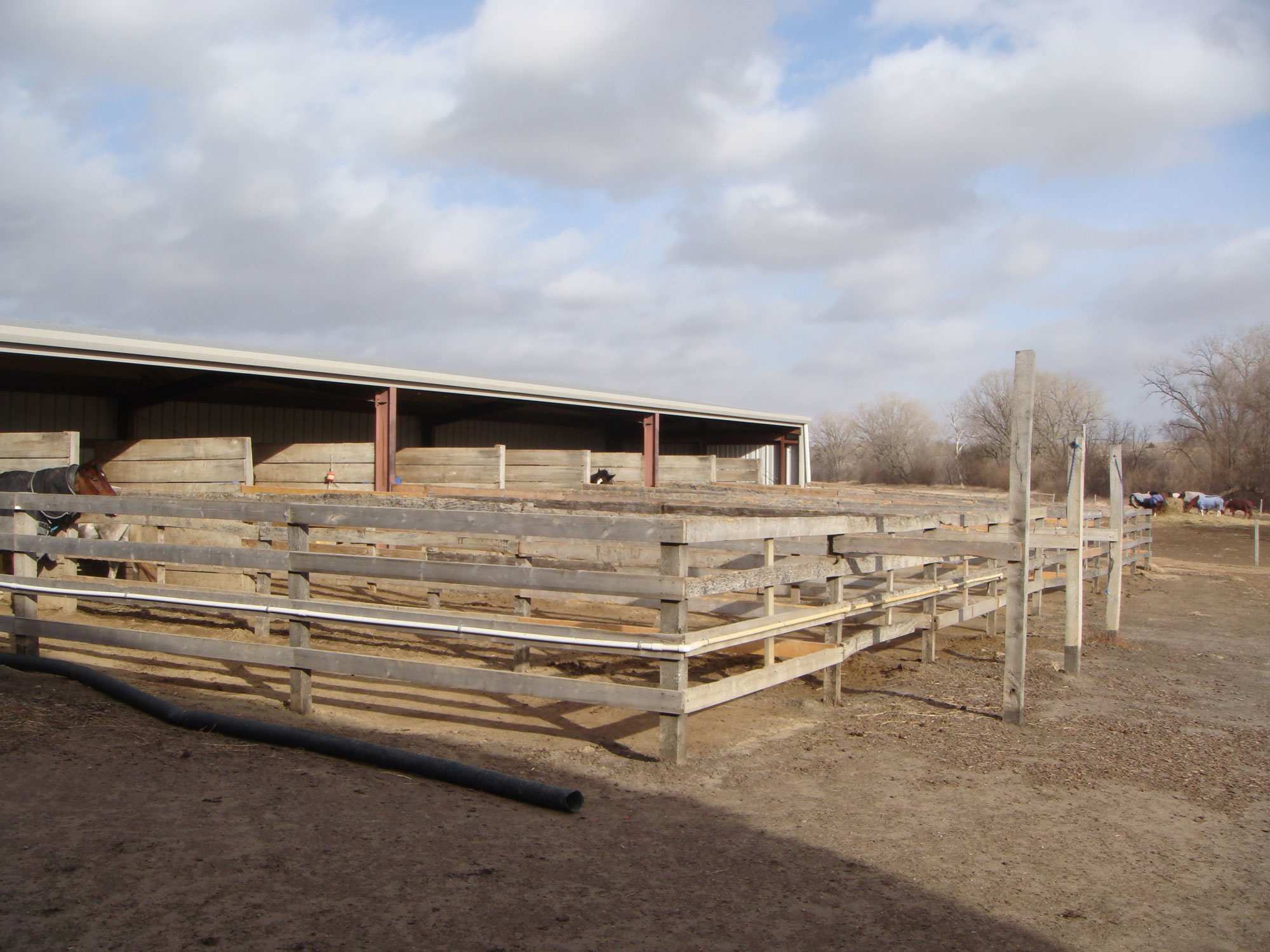 Outdoor Stalls With Runs